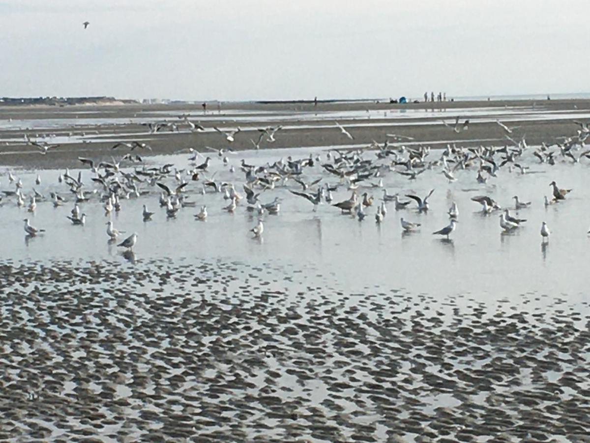 - 4-6 Pers - Res Du Parc-hardelot-plage * Hardelot-Plage